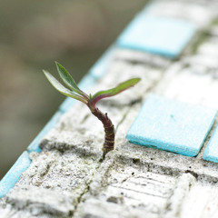 MA865 - Foundations of Discipleship: Emerging as a Son or Daughter