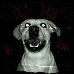 OLD DOG / NU TRICKS (feat.sendflowrs)