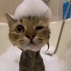 huis haus house hus hose hoes