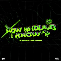 It's Brilliant - How Should I Know ( Feat. Destin Laurel ) Prod by Its Brilliant & Madgic