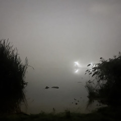 why does yo presence feels so familiar