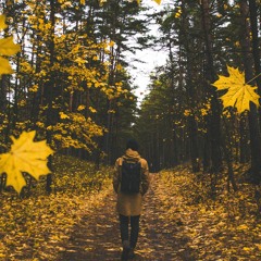 Chris Bones - Pray(Original Mix)