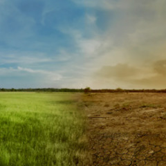 Hillside