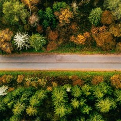 سمو المعالي لأهل التحدي