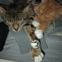 A little girl at heart