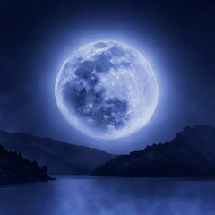 Specific Ocean x Majestic