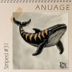 Striped #31 - A N U A G E