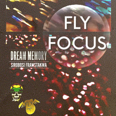 fly focus