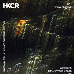 Wikileaks: IRAQ invites Shcaa - 19/12/2024