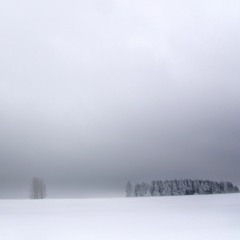 Snowy Fields