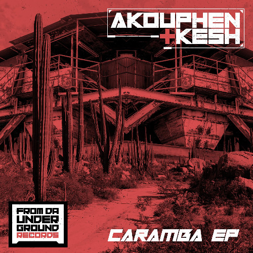 Akouphen & Kesh - Poorly Wired