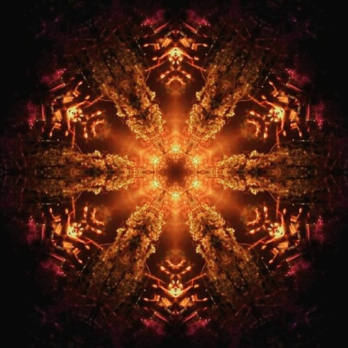 Kaputzki - Bionic Alchemy