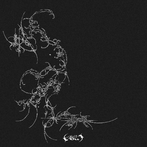 sonar - ex demo