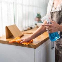 Why House Cleaners Are Important To Keep House Clean