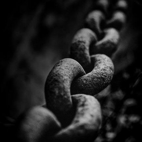 ROOTS