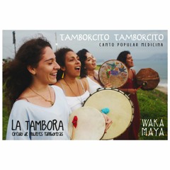 TAMBORCITO, TAMBORCITO - LA TAMBORA |  #MEDICANCIÓN  | WAKA MAYA