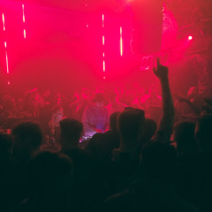 Vivace - Funk Phenomenon
