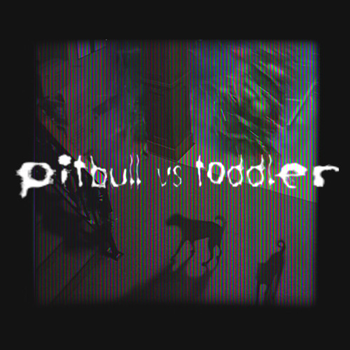 pitbull vs toddler