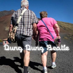 Dung Dung Beetle