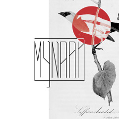 Mynaah - Lotus Lanterns (Original Mix)