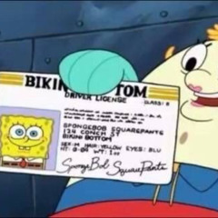 driver license