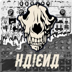 haiena - live td-3 & Korg elec2