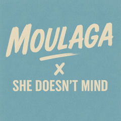 Moulaga x She Doesn't Mind (Motritch Mashup)
