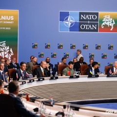 NATO Summit: Is Ukraine's glass half empty or half full?