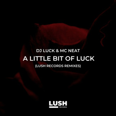 DJ Luck & MC Neat - A Little Bit of Luck (Statix Bad Bassline Remix)