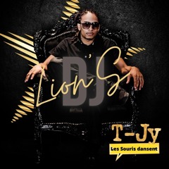T-JY Remix - Les Souris Dansent Badness Ft Dj Lion'S