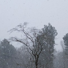 only girl ft bluchrist