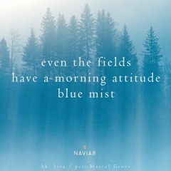 haiku #412: even the fields / have a morning attitude / blue mist