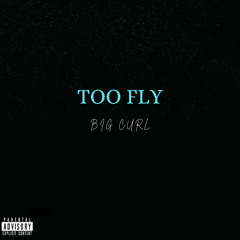 Too Fly