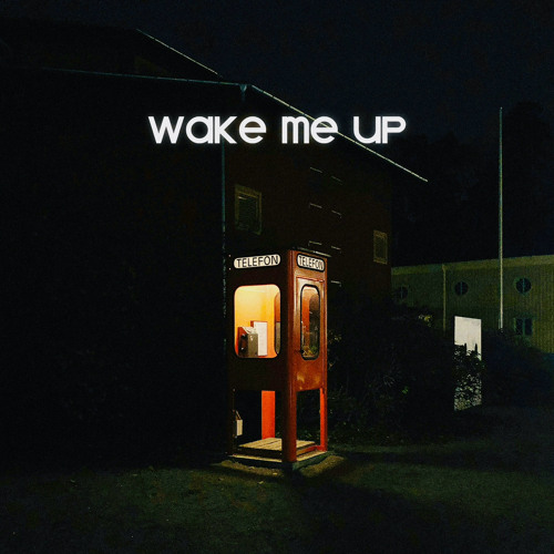 WAKE ME UP - aleemrk