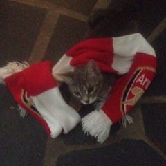 arSenAL