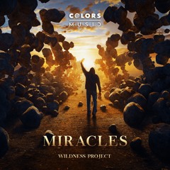 Wildness Project - Miracles (Radio Edit)