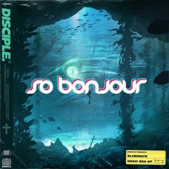 Eliminate - You're Gonna Love Me (Ft. Leah Culver) (SO BONJOUR Remix)