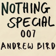 Nothing Special 007: Andrew Bird