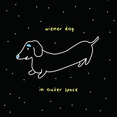 wiener dog In outer space (or: i have been listening to too much roger and brian eno)