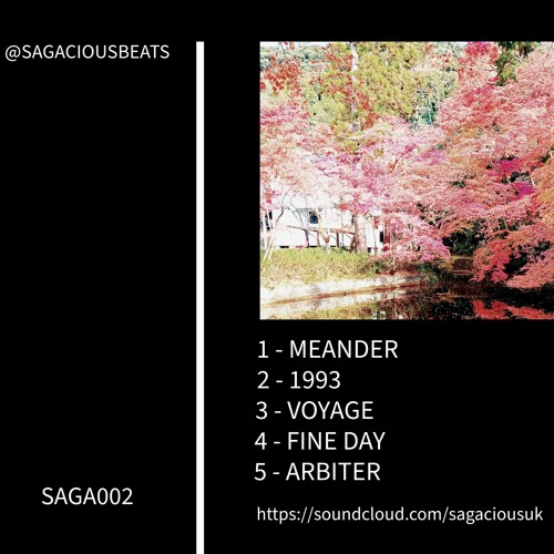 Sagacious - Meander