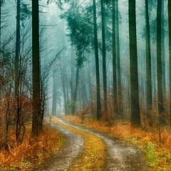 Death is a Bend in the Road - Fernando Pessoa