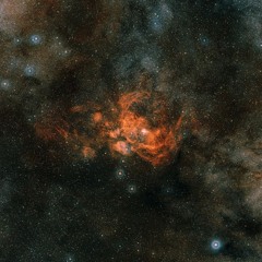 TSSP 12.0 : Tau Scorpii