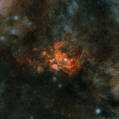 TSSP 12.0 : Tau Scorpii