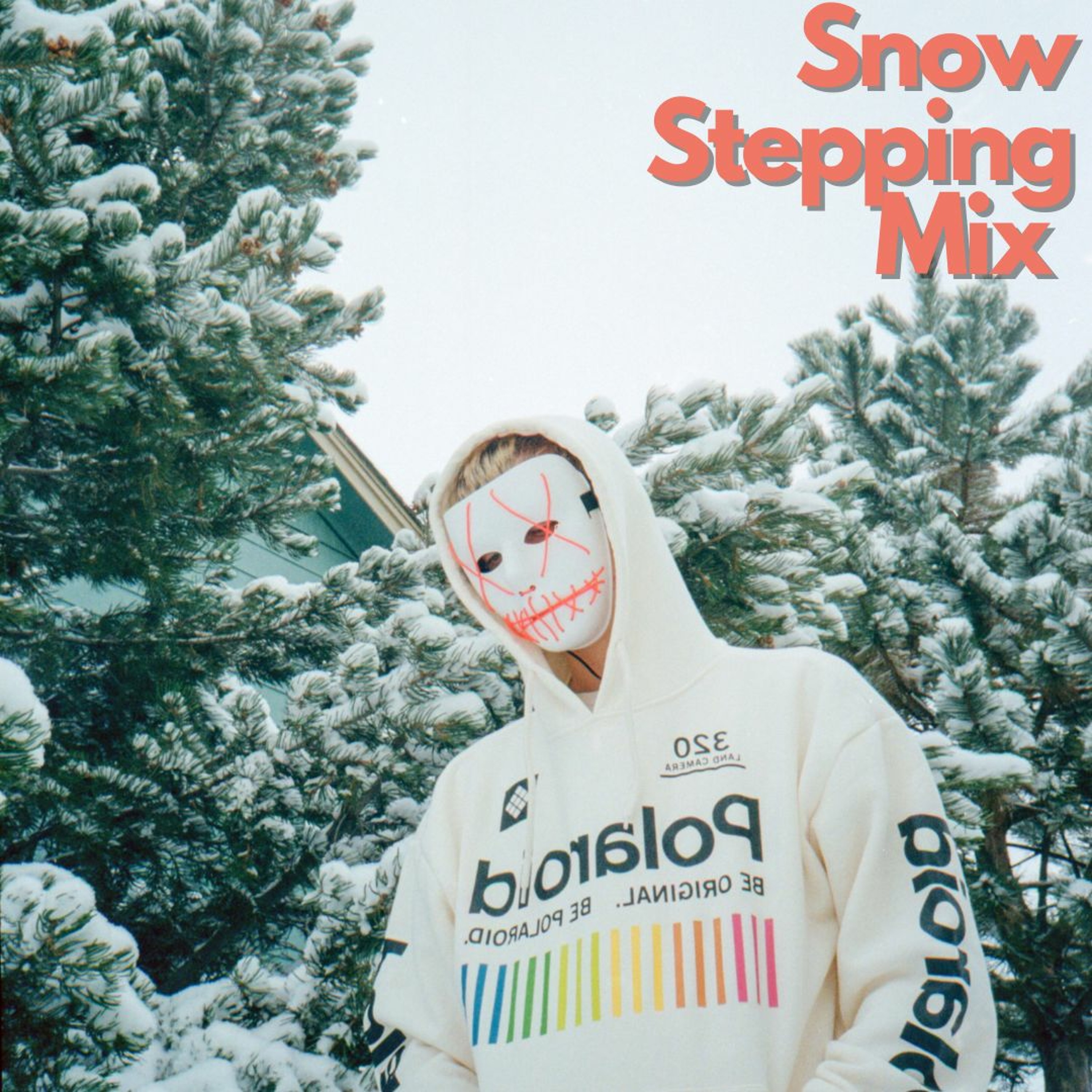 Snow Stepping Mix episode artwork