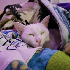 UK Garage Quick Mix - 05/14/22