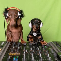 D Dawg & Akki's Digital & Vinyl Mix