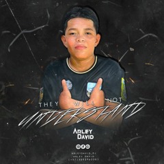 THEY WILL NOT UNDERSTAND  -  ARLEY DAVID