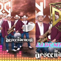 LA DESCENDENCIA MIX 2022