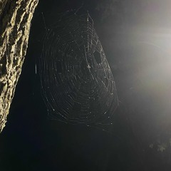 IGOTTRAX (geogotbanz)