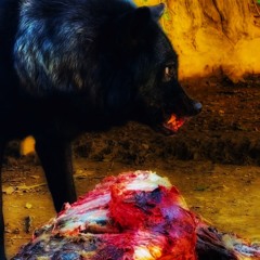 MIND YOUR DAMN BUSINESS